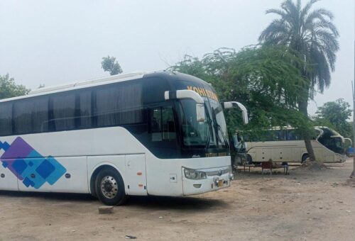 bus